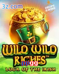 ppgg slot wild wild riches